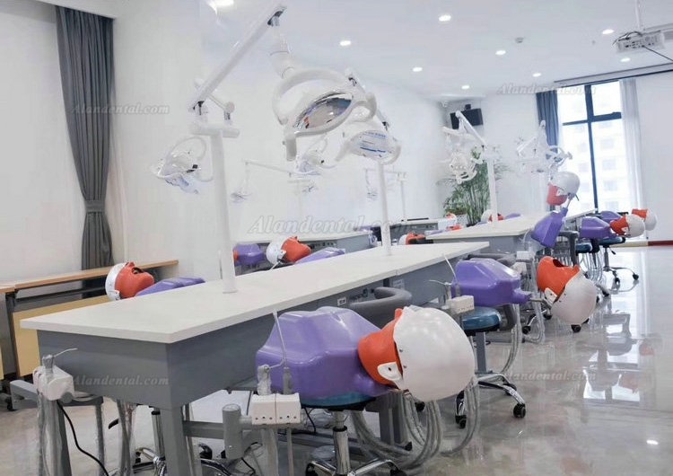 Jingle A4 Dental 2 Students training Double Teaching Manual Control Phantom Dental Simulation Unit